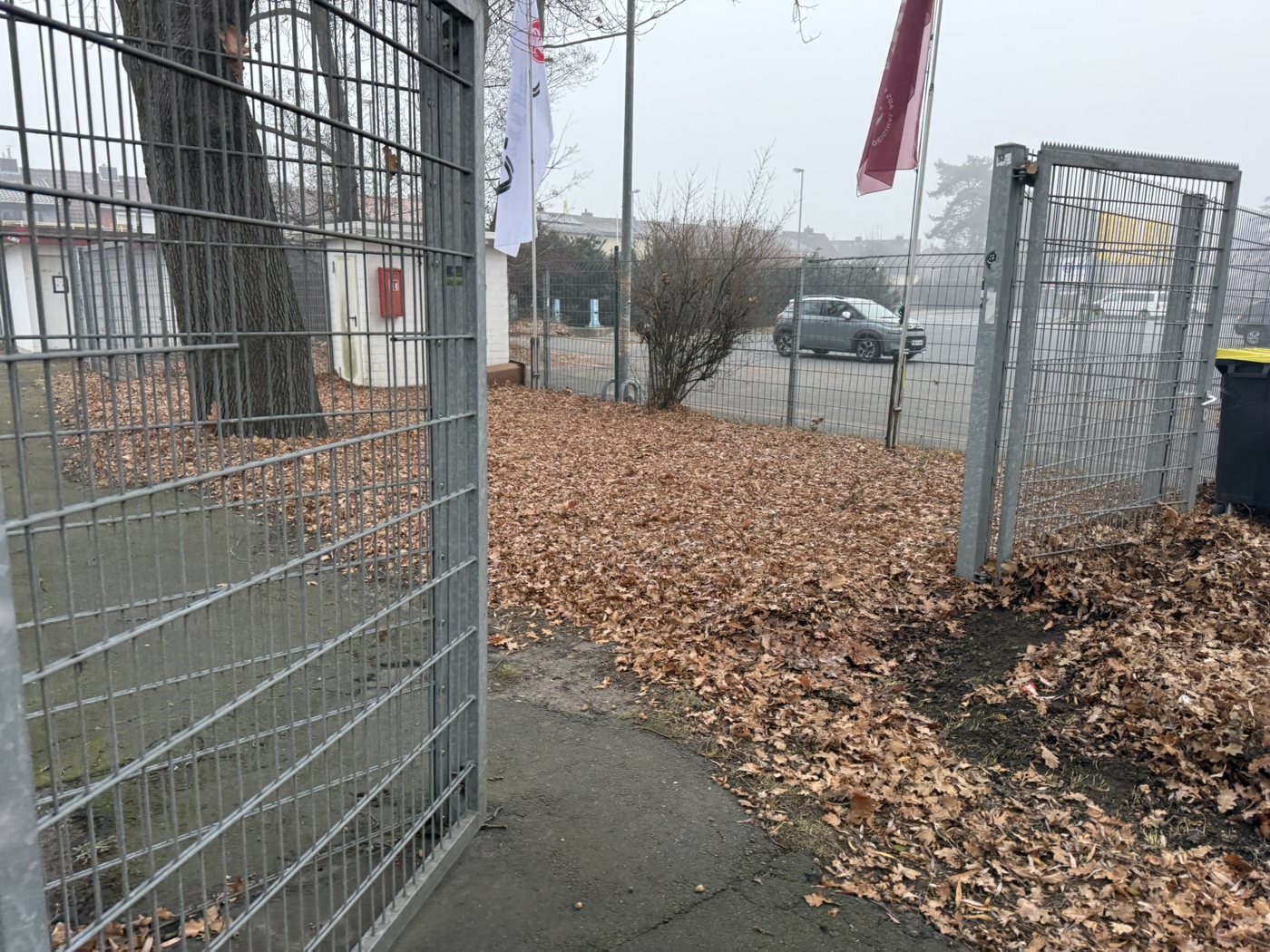 Laub im Eingangsbereich