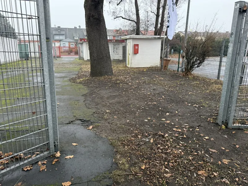 Freigeräumter Bereich unter den Bäumen