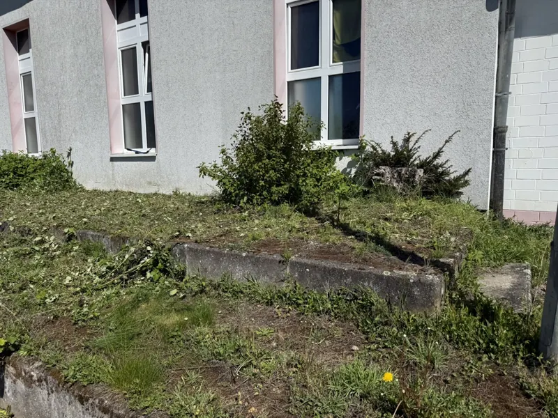 Dichter Bewuchs an den oberen Stufen