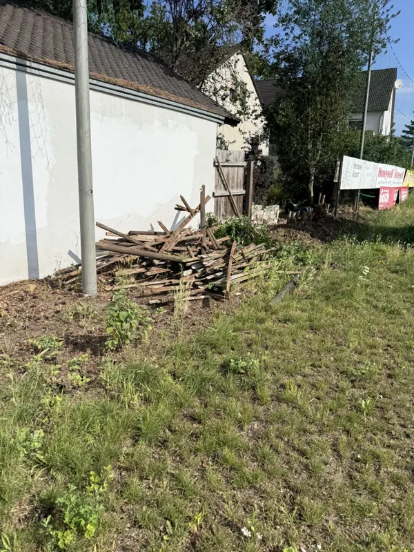Der frühere Randbereich mit Holz und Bewuchs