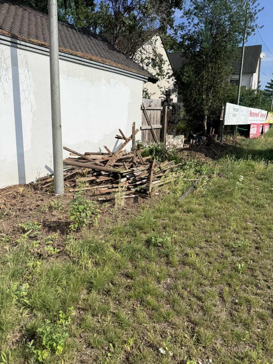 Früherer Randbereich mit Holz und Bewuchs
